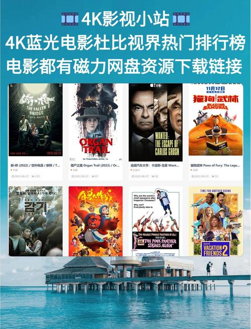 91影院的相关介绍