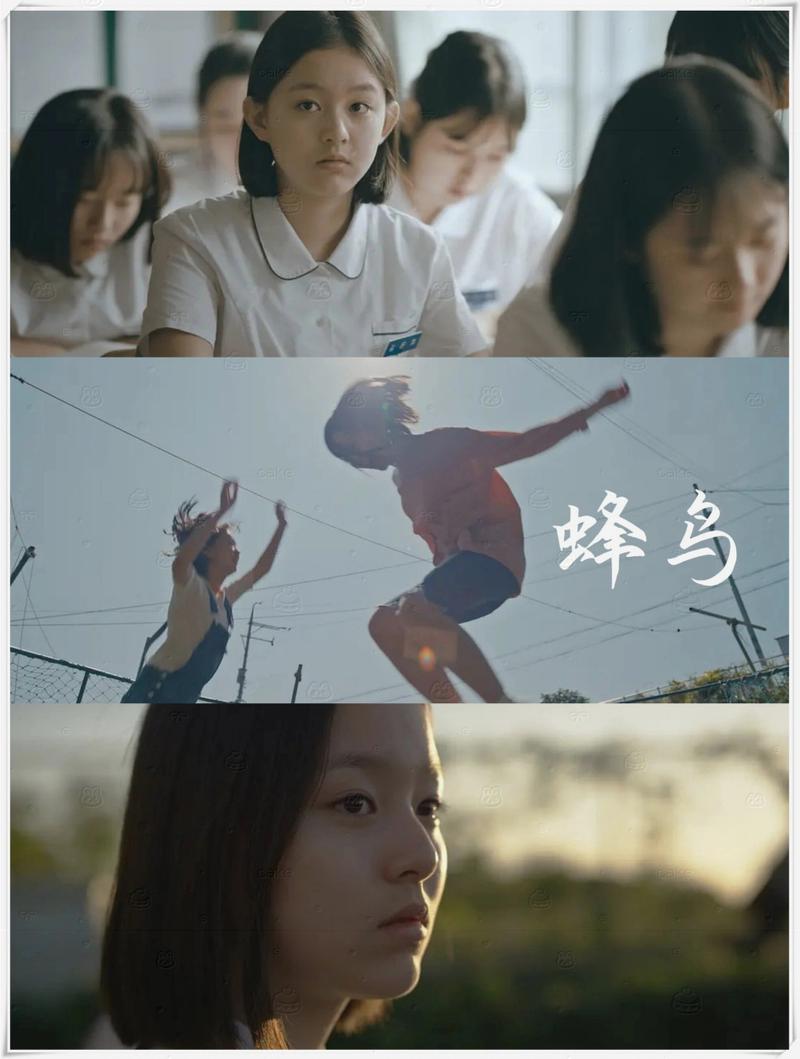 熟妇av在线的相关介绍