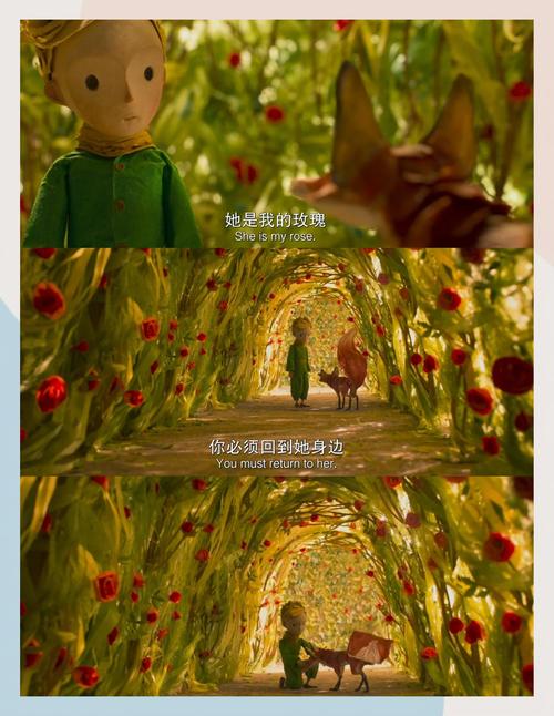 操老师影院的相关介绍
