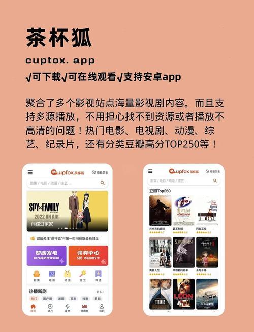 亚洲精品熟妇少妇的相关介绍